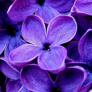 Meet your Posher, Rolanda